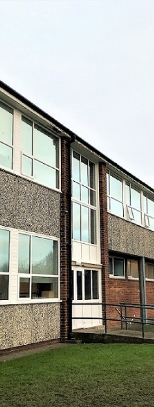 Commercial Windows